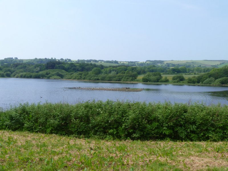 Featured image for Tittesworth Reservoir