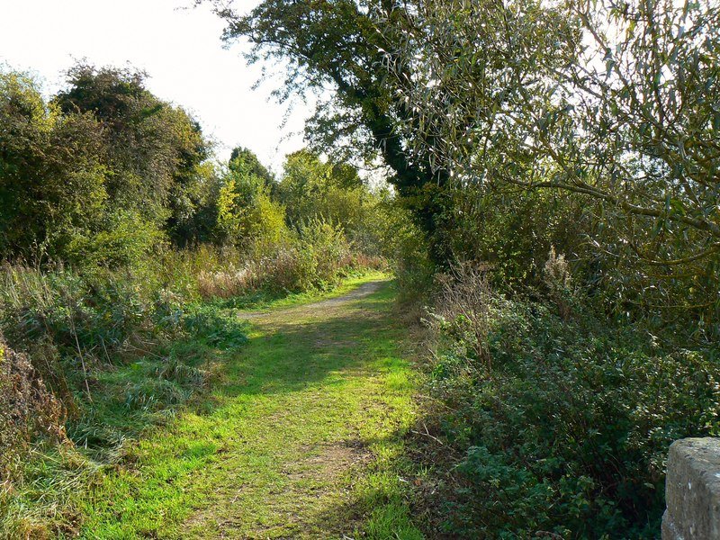 Featured image for Mouldon Hill Country Park