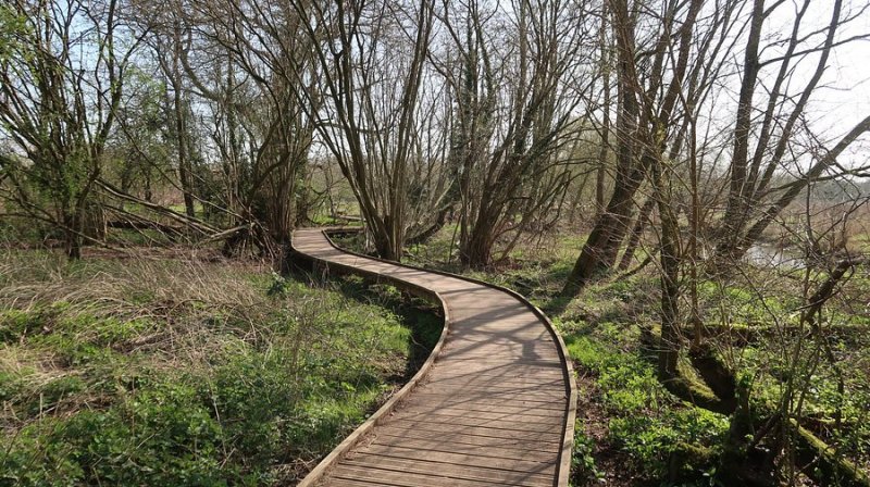 Featured image for Pishiobury Park