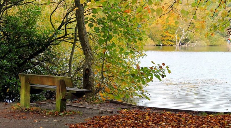 Bolam Lake Country Park