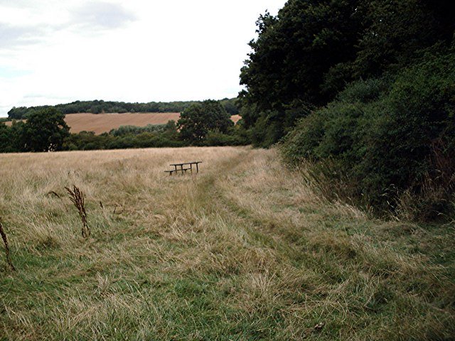 Featured image for Edwards Hall Park