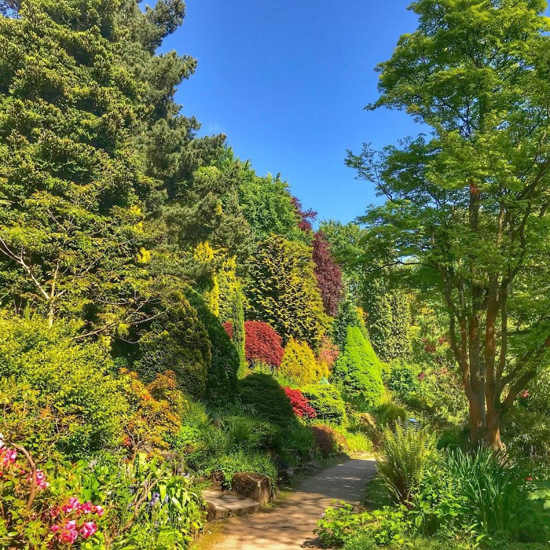 Featured image for Fletcher Moss Park