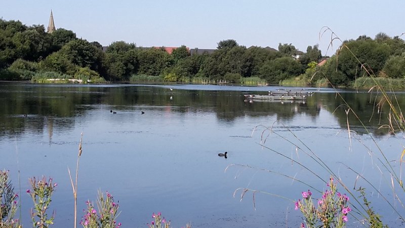 Featured image for Blackleach Country Park