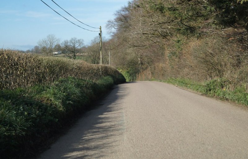 Featured image for Winkleigh Wood