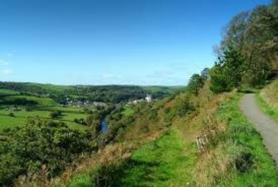 Featured image for Torrington Commons