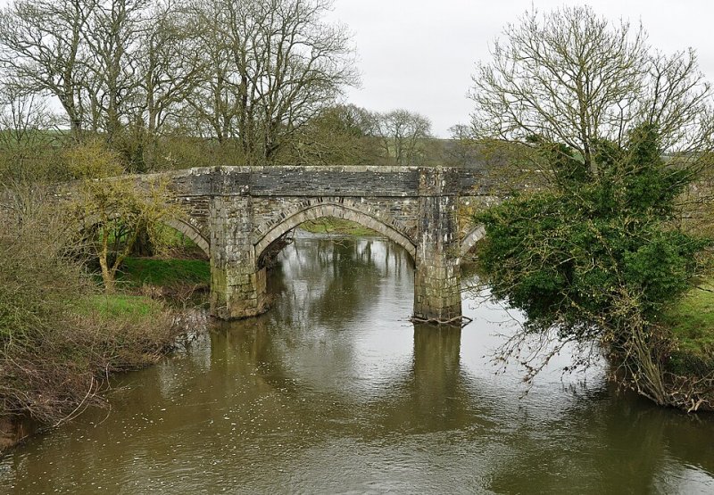 Featured image for River Tamar
