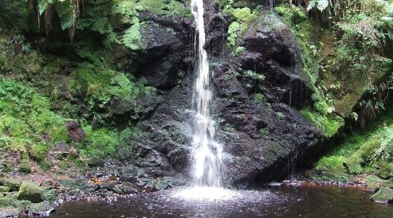 Featured image for Hindhope Linn at Kielder Forest