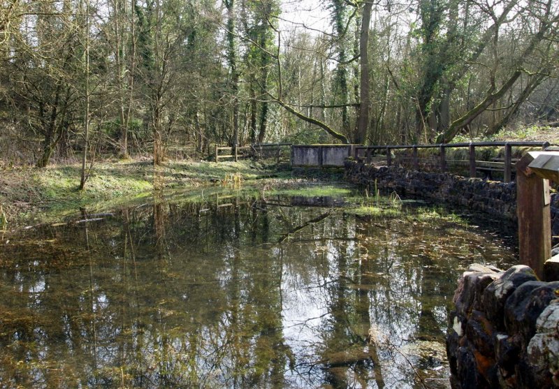 Featured image for Portland Park Country Park