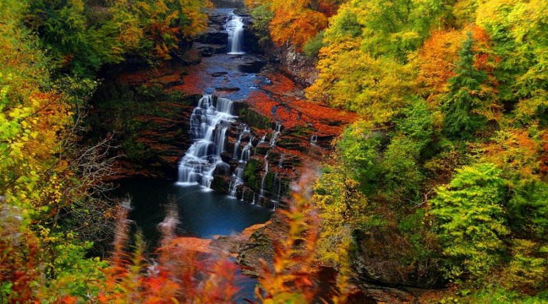 Featured image for The Falls of Clyde