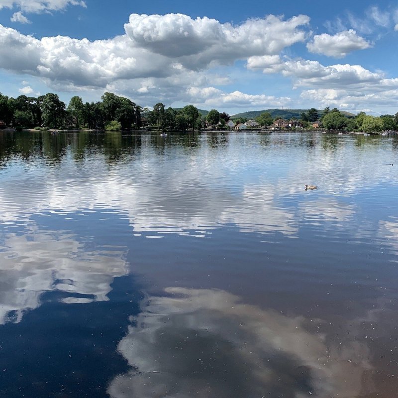 Featured image for Petersfield Heath