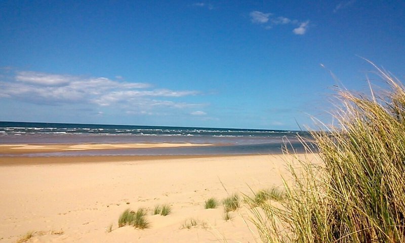 Walk of the Month: Holkham Beach and Pinewoods