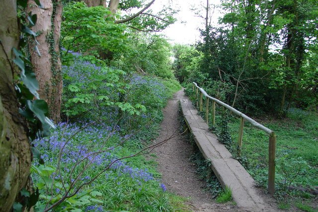 Featured image for Shotover Country Park