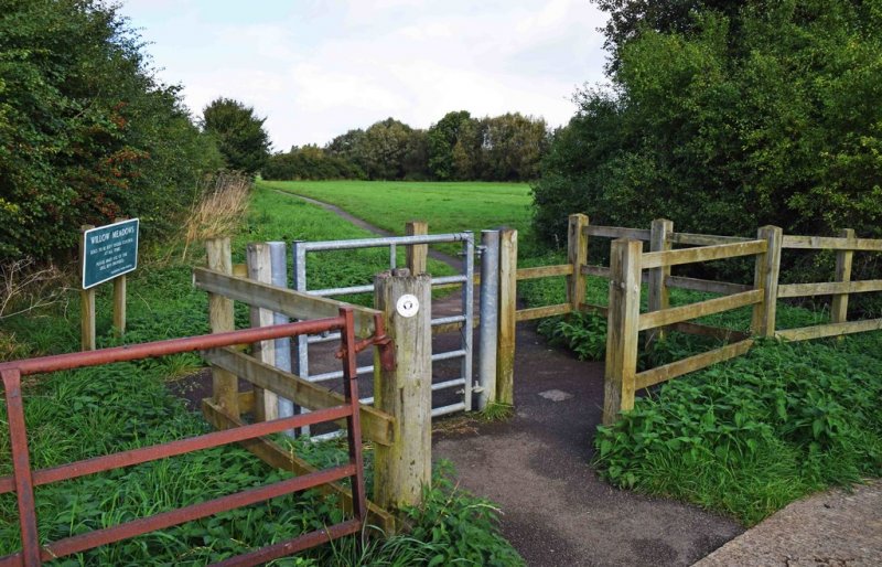 Featured image for Willow Meadows