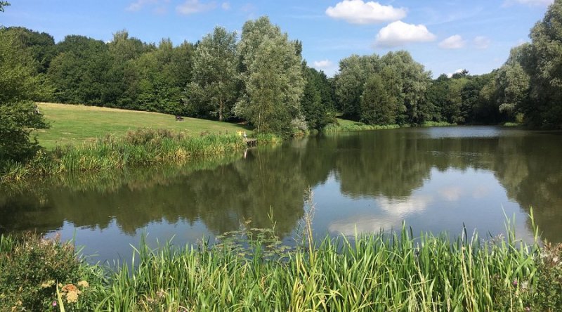 Featured image for High Woods Country Park