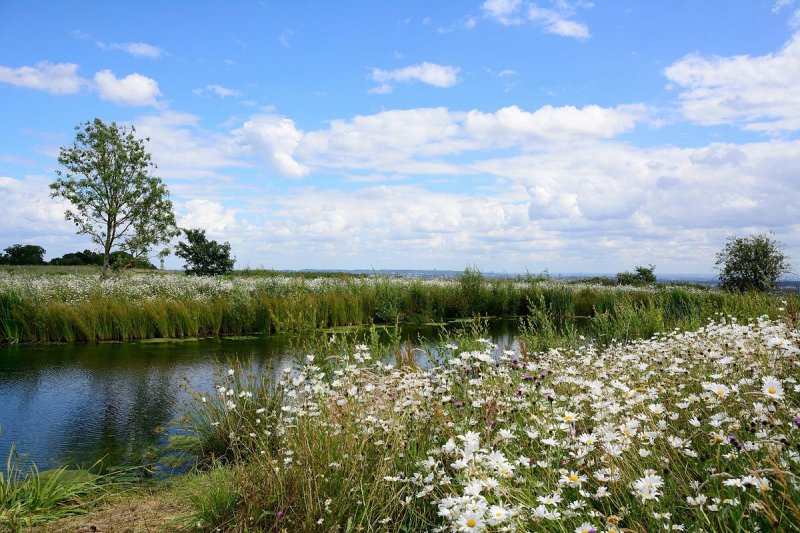 Featured image for Stanmore Country Park