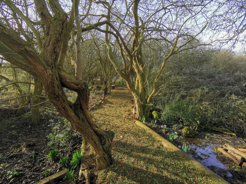 Featured image for Wat Tyler Country Park
