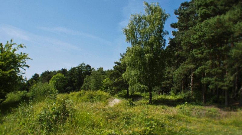 Featured image for Irchester Country Park