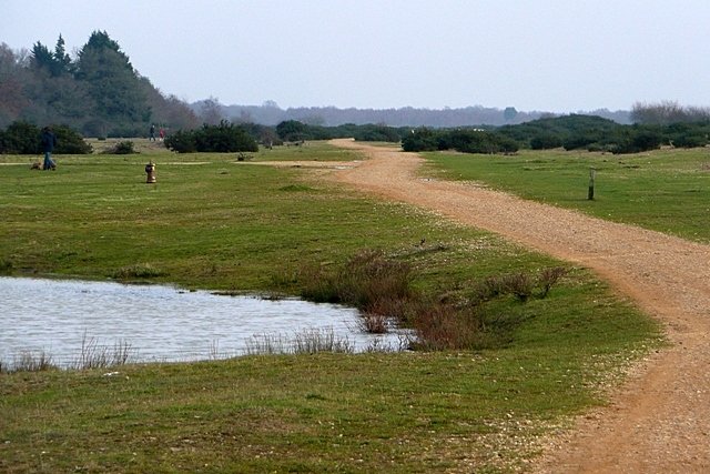 Featured image for Greenham & Crookham Common Nature Reserve