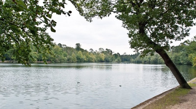 Featured image for Black Park Country Park