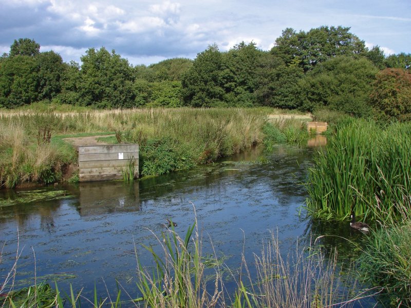 Featured image for Shepherd Meadow Nature Reserve