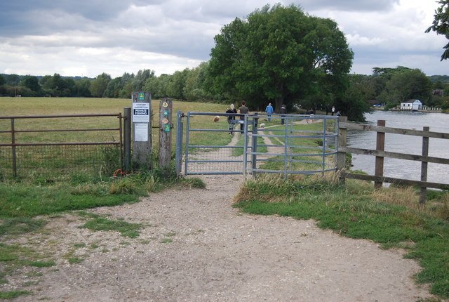 Featured image for Cock Marsh