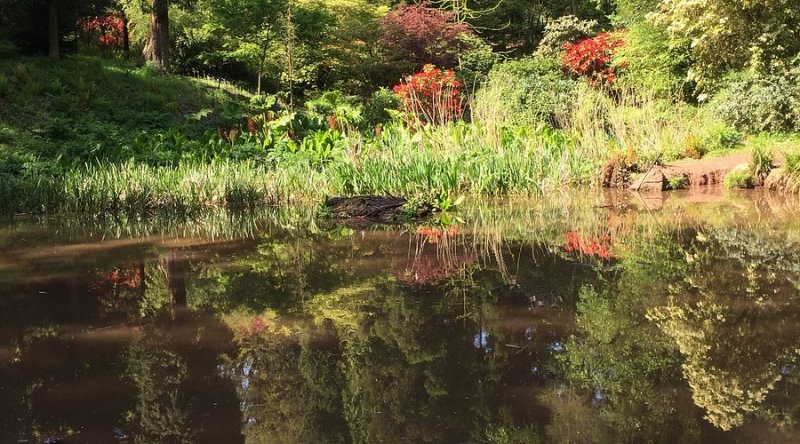 Featured image for Parc Cefn Onn