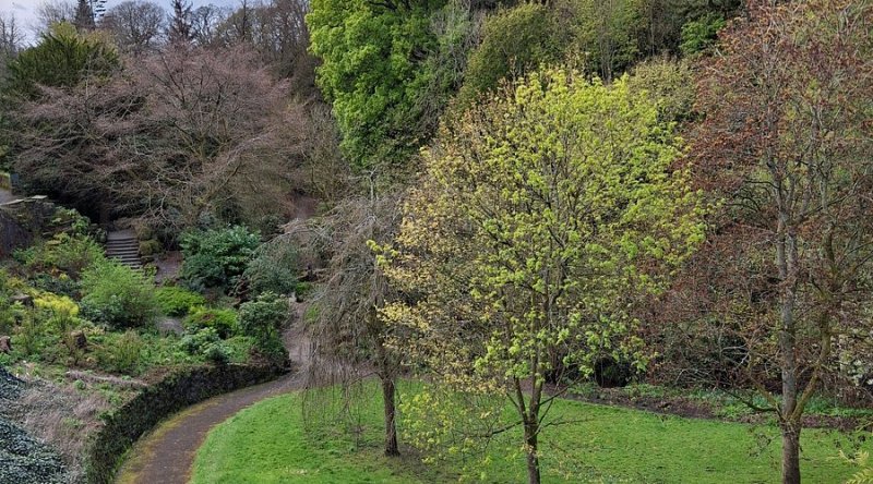 Featured image for Pittencrieff Park