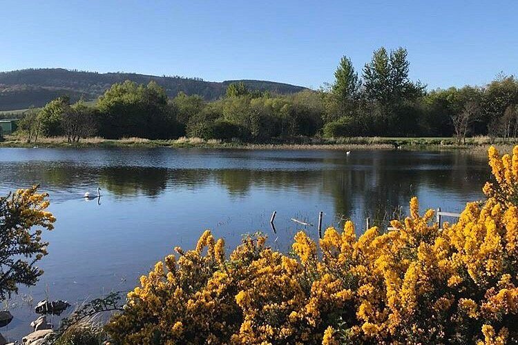 Featured image for Lochore Meadows Country Park