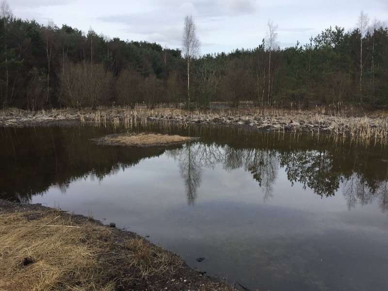 Featured image for Heatherhall Wood