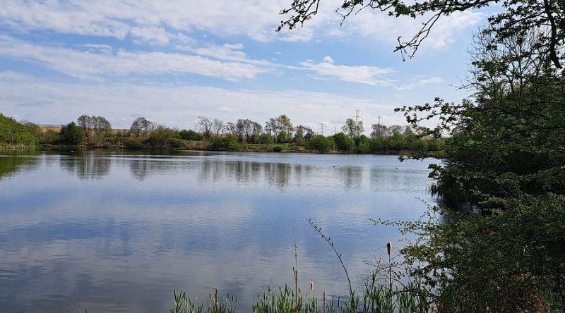 Featured image for Cowpen Bewley Woodland Park