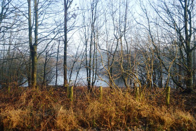 Featured image for Burton Riggs Nature Reserve