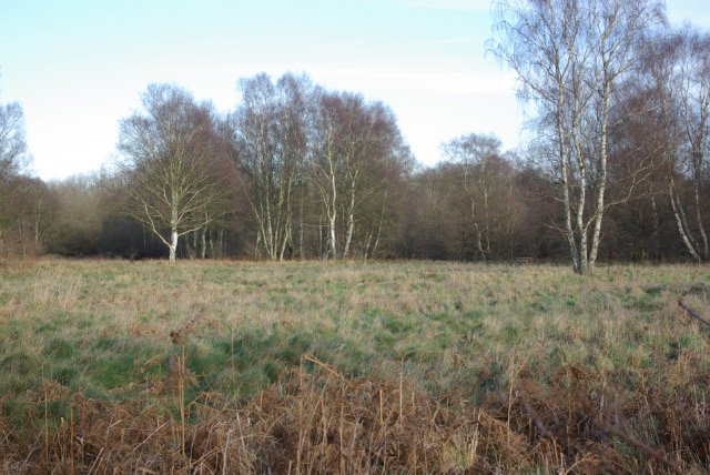 Knettishall Heath Nature Reserve