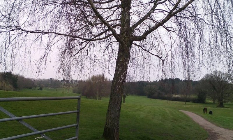 Featured image for Newbold Comyn Country Park