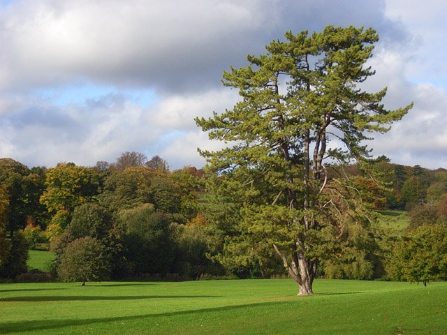 Featured image for Hughenden Park