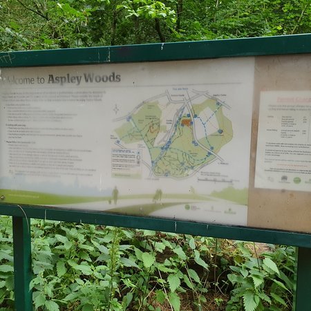 Aspley Woods