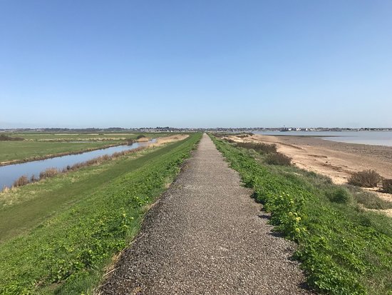 Featured image for Cudmore Grove Country Park