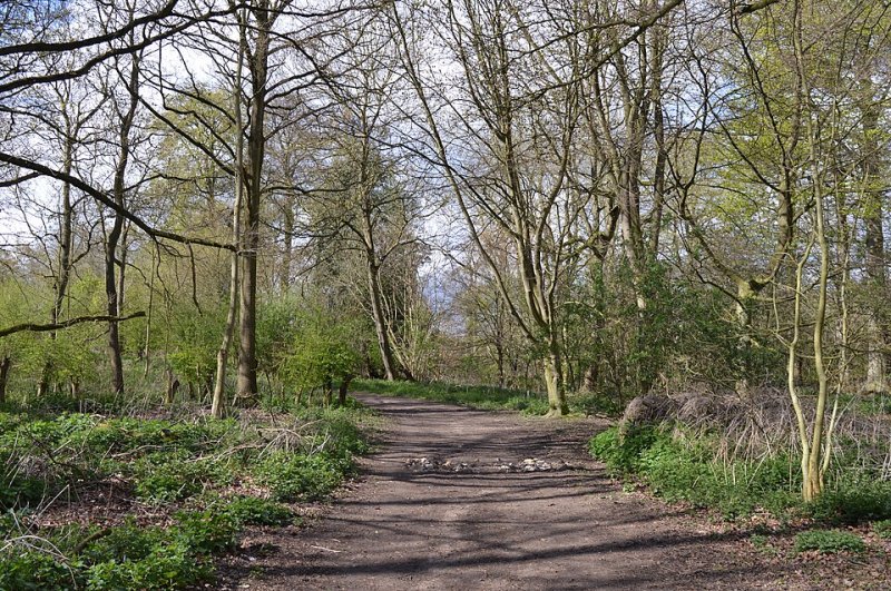 Featured image for Aubrey Buxton Nature Reserve