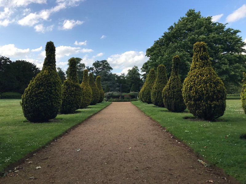 Featured image for Hylands Park