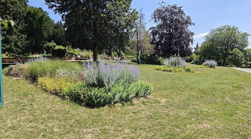 Featured image for Norbury Park