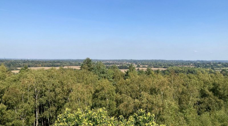 Featured image for Ockham Common