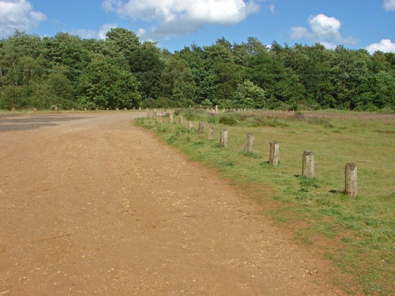 Featured image for Puttenham Common