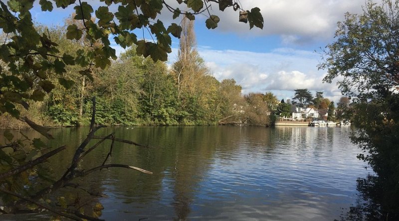 Hurst Park and The Thames Path