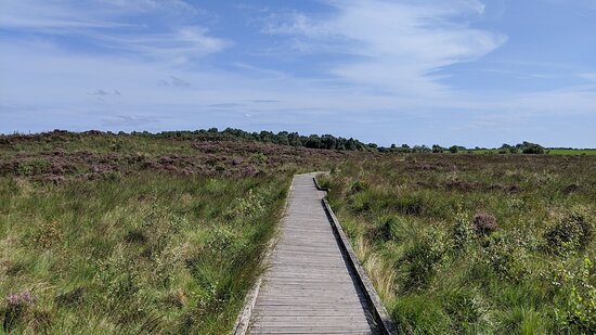 Lenzie Moss Local Nature Reserve