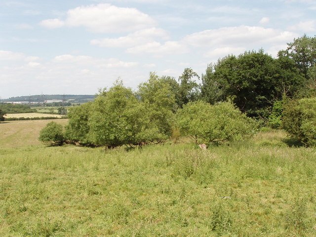 Featured image for Toot Baldon