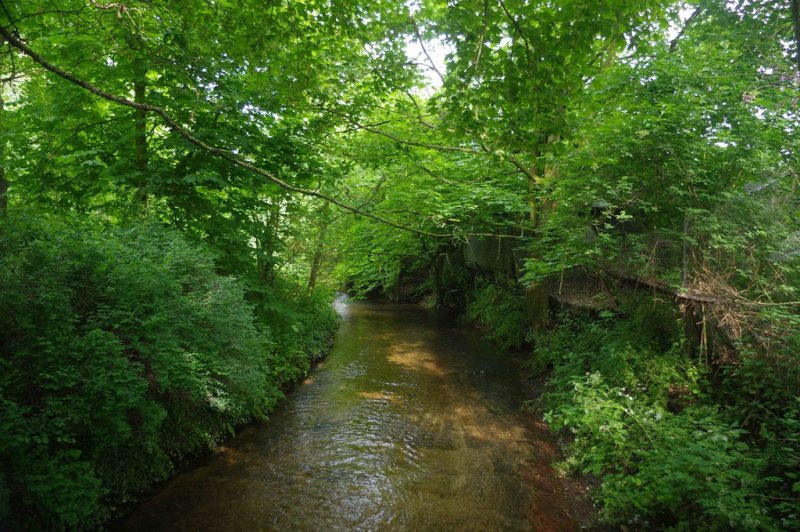 Featured image for Bampton