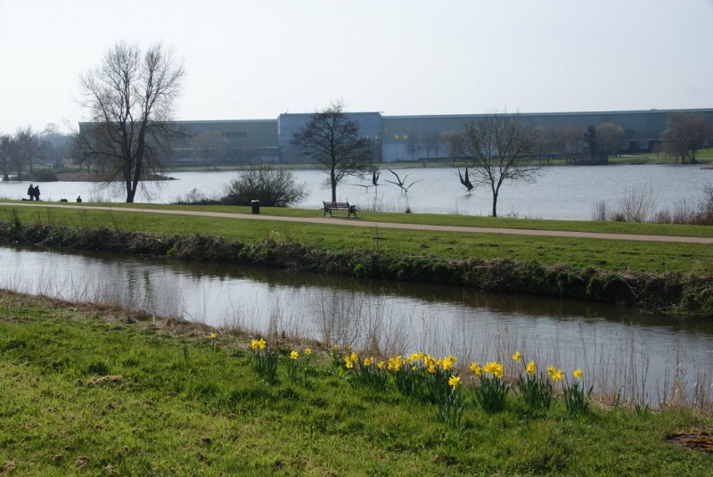 Featured image for JCB Lakeside Walk