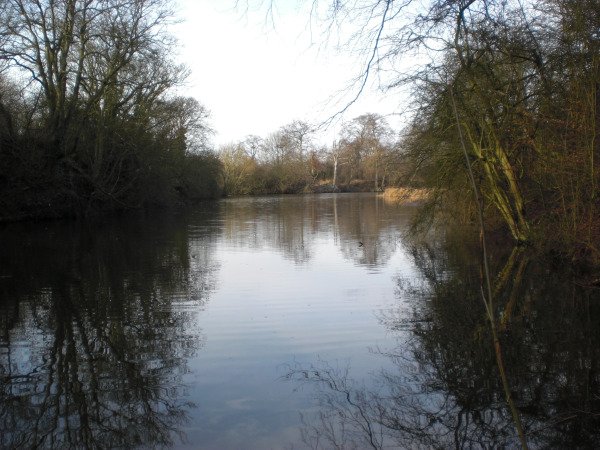 Featured image for Park Lime Pits Local Nature Reserve