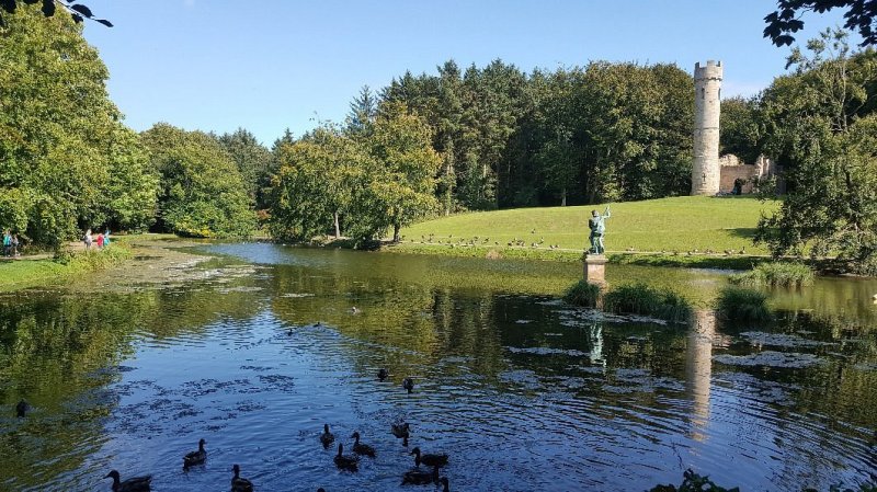 Featured image for Hardwick Park