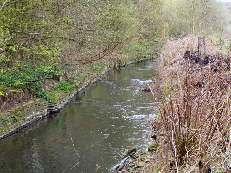Alkrington Woods Local Nature Reserve