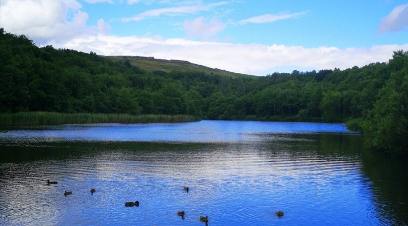 Featured image for Strinesdale Country Park